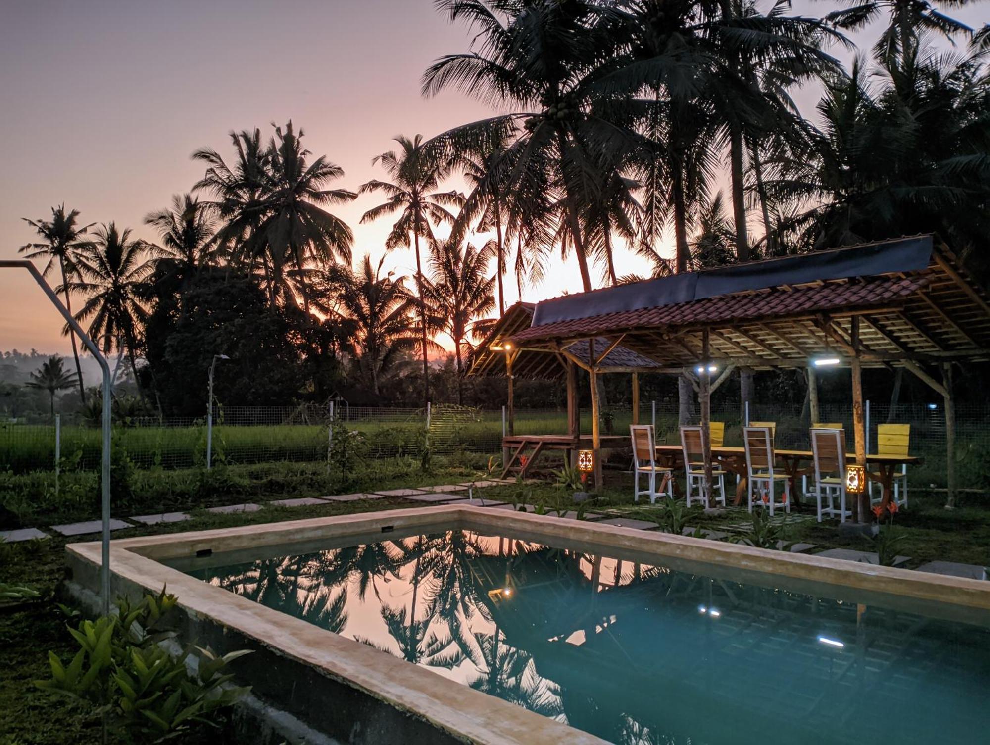 Wooden Kemiren Homestay Banyuwangi بانيووانجى المظهر الخارجي الصورة